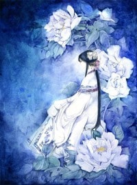 我與校花的浪漫故事